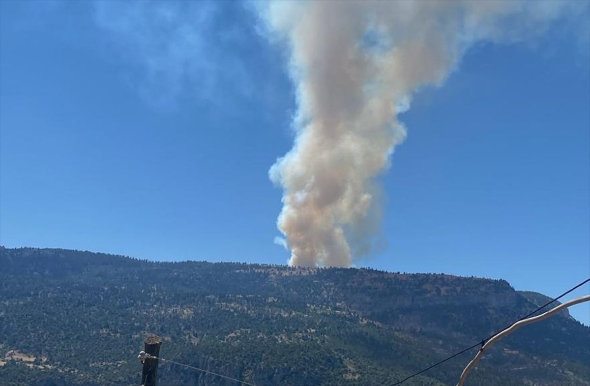 A A 20250815 38838695 38838691 K A R A M A N D A 2 F A R K L I N O K T A D A C I K A N O R M A N Y A N G I N I N A M U D A H A L E E D I L I Y O R