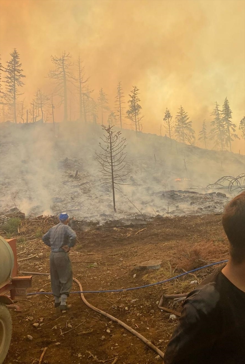 A A 20250815 38838695 38838692 K A R A M A N D A 2 F A R K L I N O K T A D A C I K A N O R M A N Y A N G I N I N A M U D A H A L E E D I L I Y O R