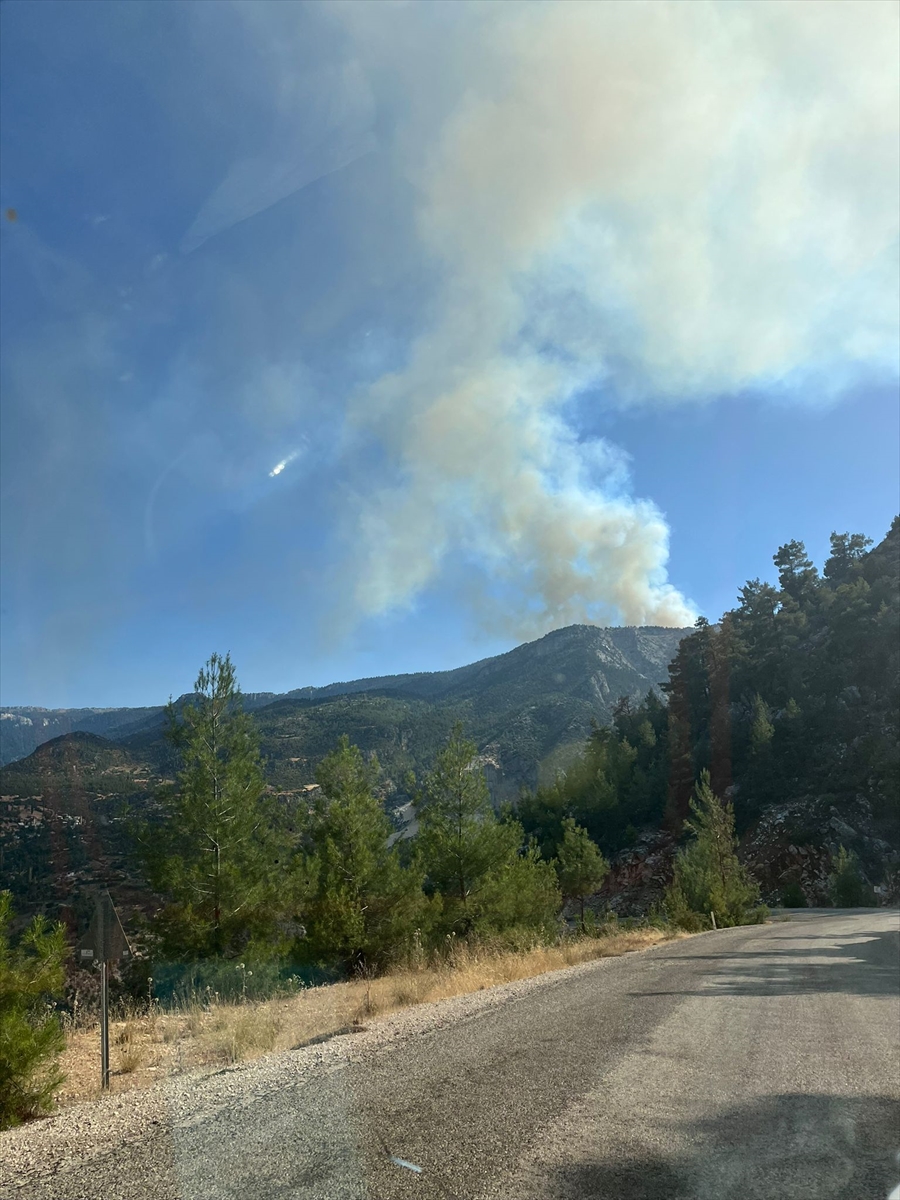 A A 20250815 38838695 38838693 K A R A M A N D A 2 F A R K L I N O K T A D A C I K A N O R M A N Y A N G I N I N A M U D A H A L E E D I L I Y O R