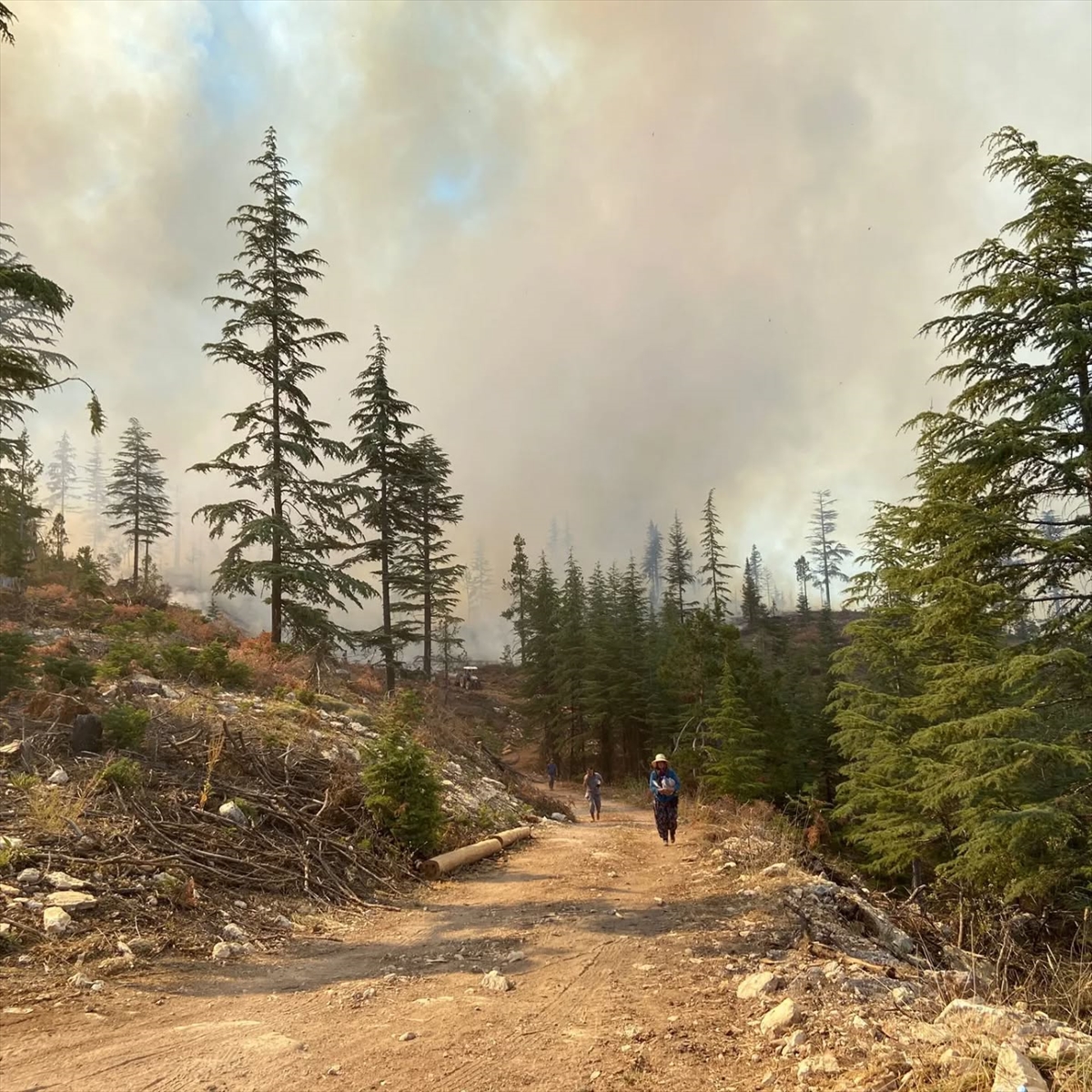 A A 20250815 38838695 38838694 K A R A M A N D A 2 F A R K L I N O K T A D A C I K A N O R M A N Y A N G I N I N A M U D A H A L E E D I L I Y O R