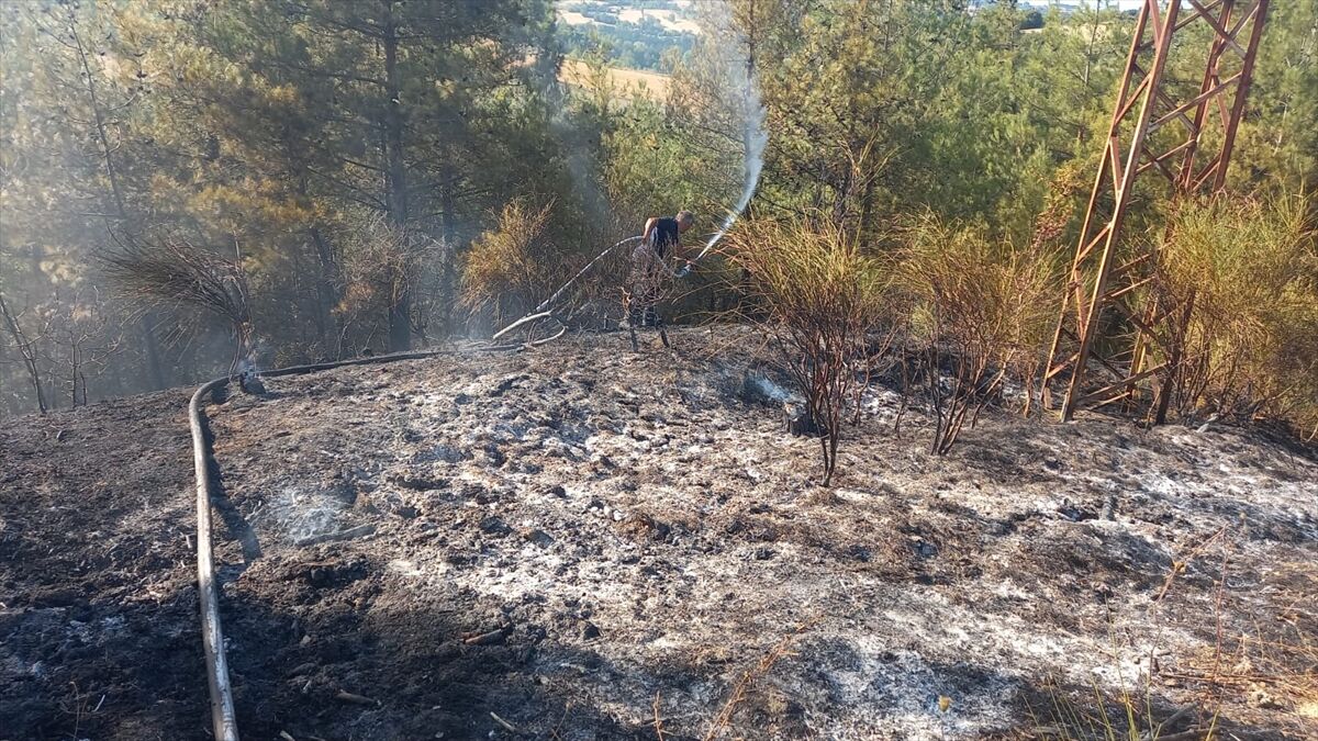 A A 20250816 38846602 38846600 S I N O P T A C I K A N O R M A N Y A N G I N I N A M U D A H A L E E D I L I Y O R