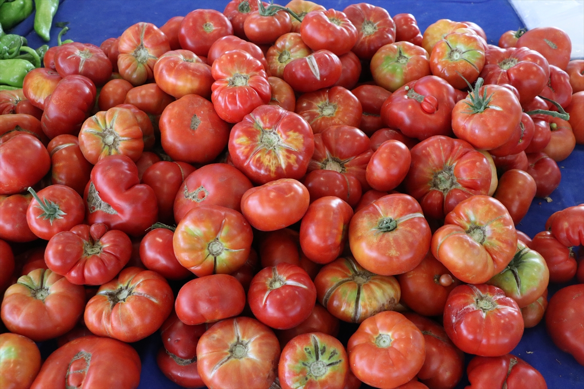 A A 20250817 38851674 38851667 K A Y S E R I D E Y U Z D E 100 E K O L O J I K P A Z A R A C I L D I