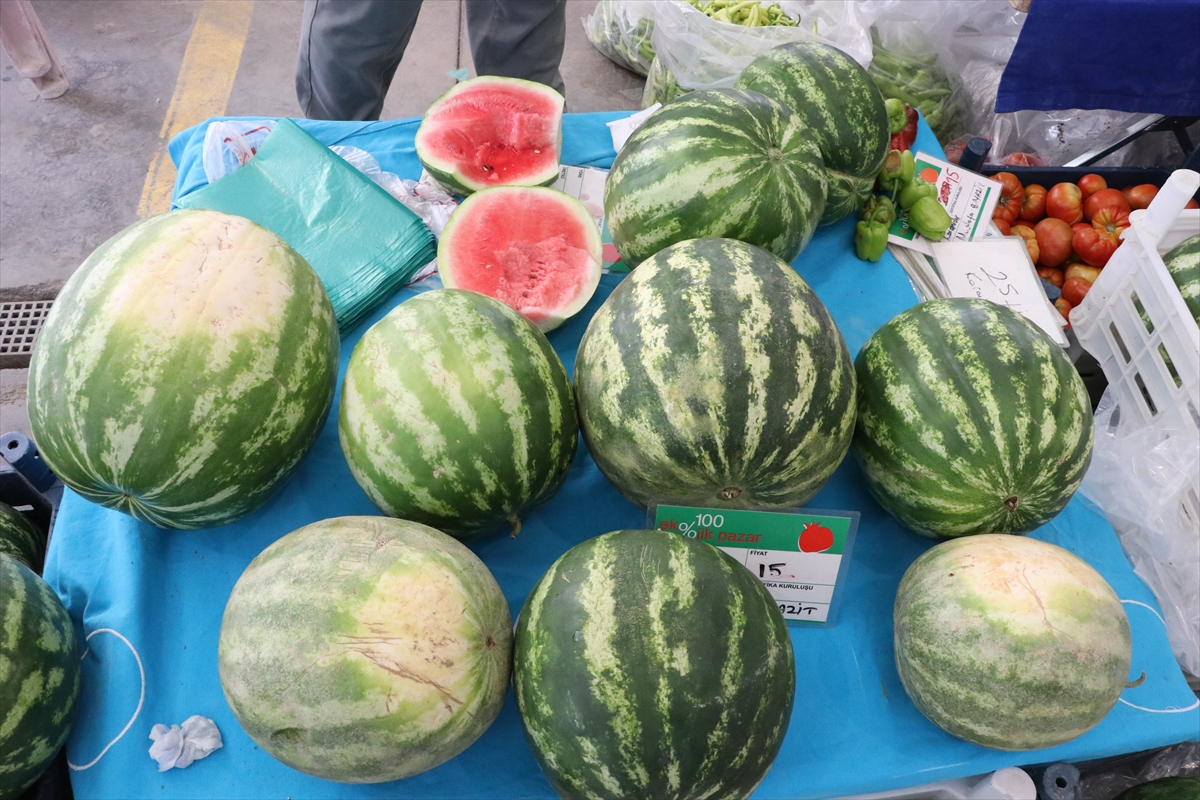 A A 20250817 38851674 38851669 K A Y S E R I D E Y U Z D E 100 E K O L O J I K P A Z A R A C I L D I