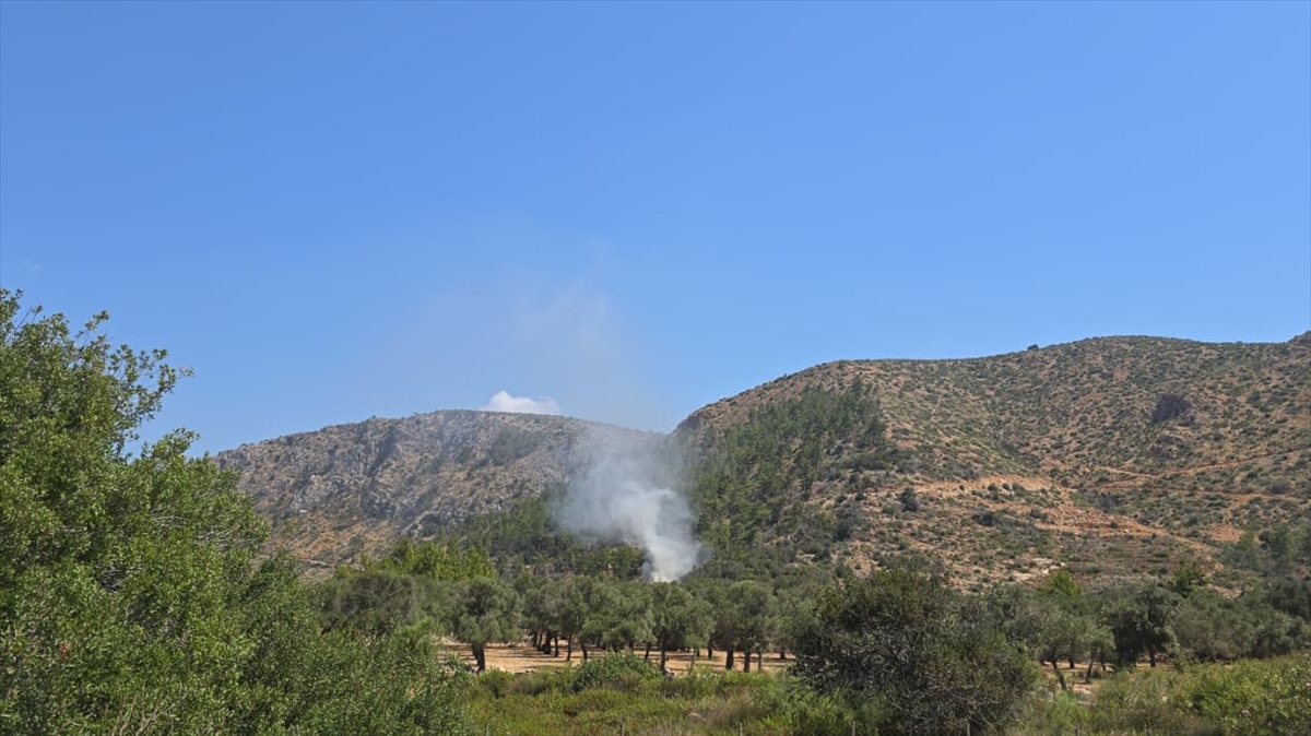 A A 20250817 38853475 38853473 B O D R U M D A E V D E C I K A N Y A N G I N O R M A N A S I C R A M A D A N S O N D U R U L D U