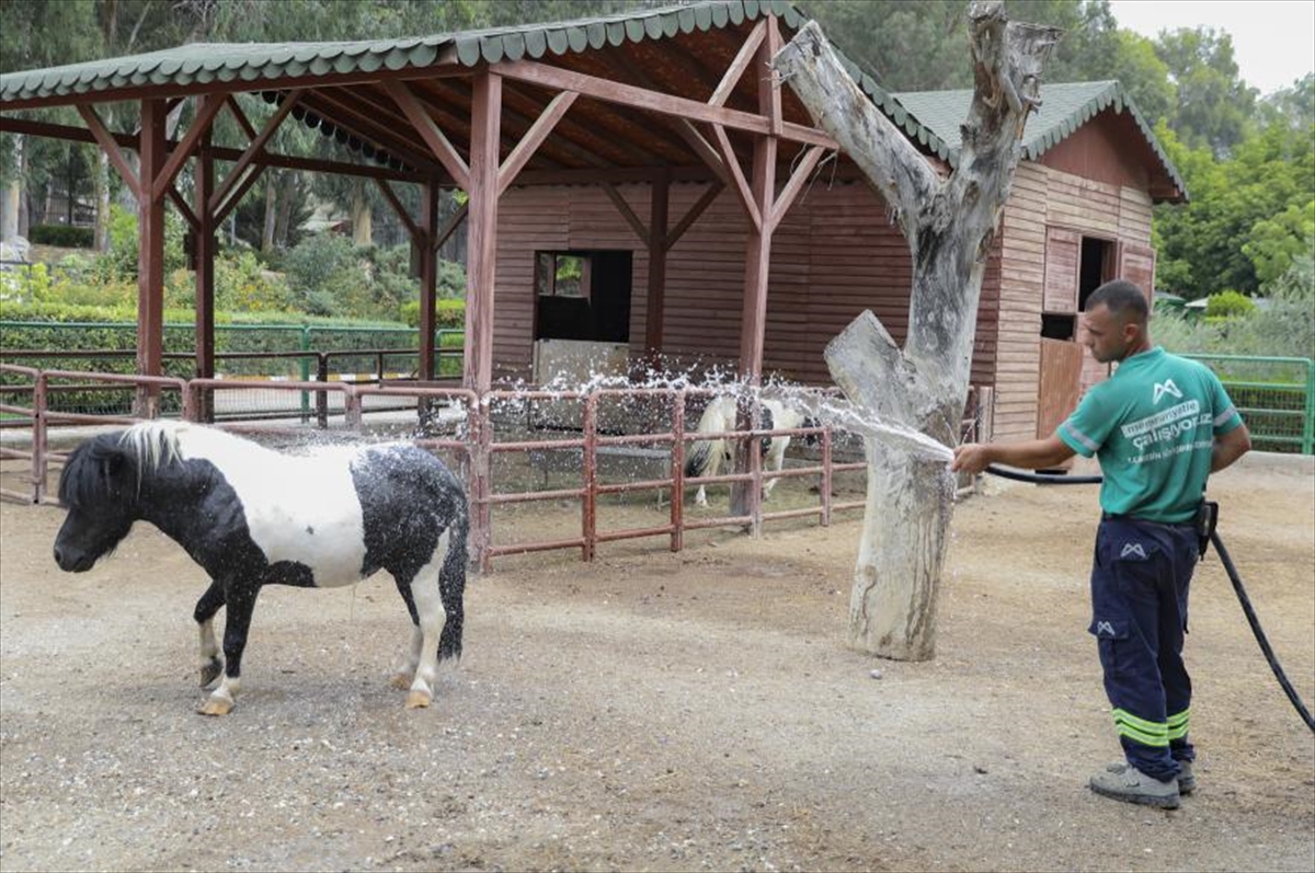 A A 20250818 38858250 38858247 T A R S U S D O G A P A R K I N D A H A Y V A N L A R B U Z L U M E Y V E K O K T E Y L I V E S U Y L A S E R I N L I Y O R