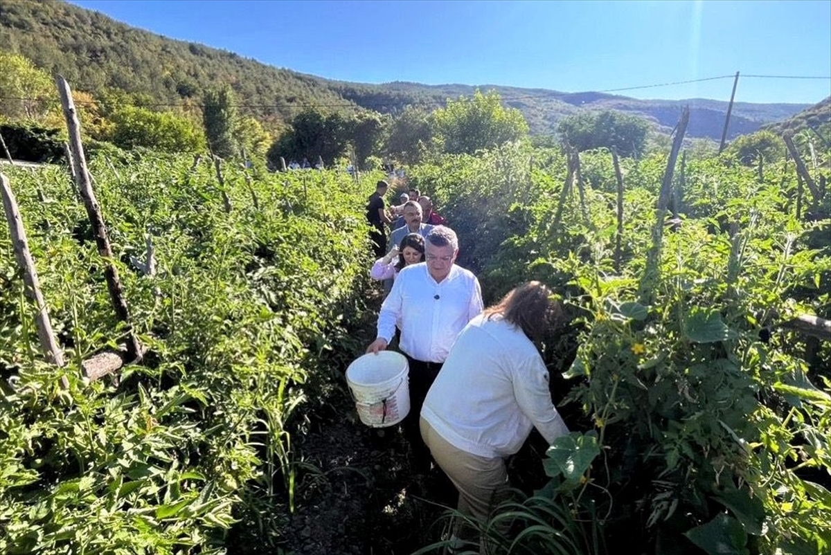 A A 20250818 38860168 38860166 S I N O P T A C O G R A F I I S A R E T L I B O Y A B A T G A Z I D E R E D O M A T E S I N I N H A S A D I B A S L A D I