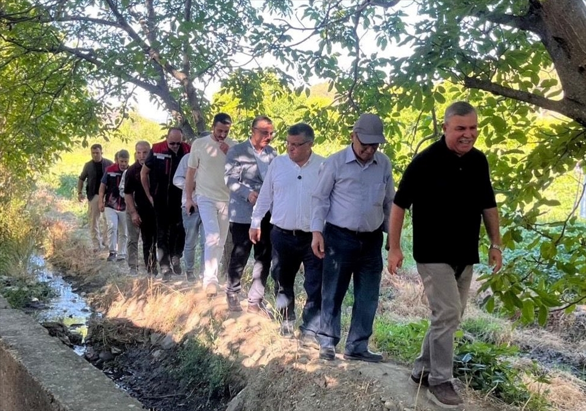 A A 20250818 38860168 38860167 S I N O P T A C O G R A F I I S A R E T L I B O Y A B A T G A Z I D E R E D O M A T E S I N I N H A S A D I B A S L A D I