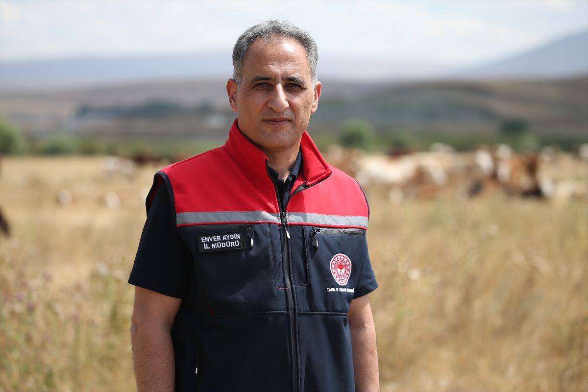 A A 20250821 38885183 38885180 K A R S T A R I M V E O R M A N M U D U R U A Y D I N S A P H A S T A L I G I N A I L I S K I N K O N U S T U