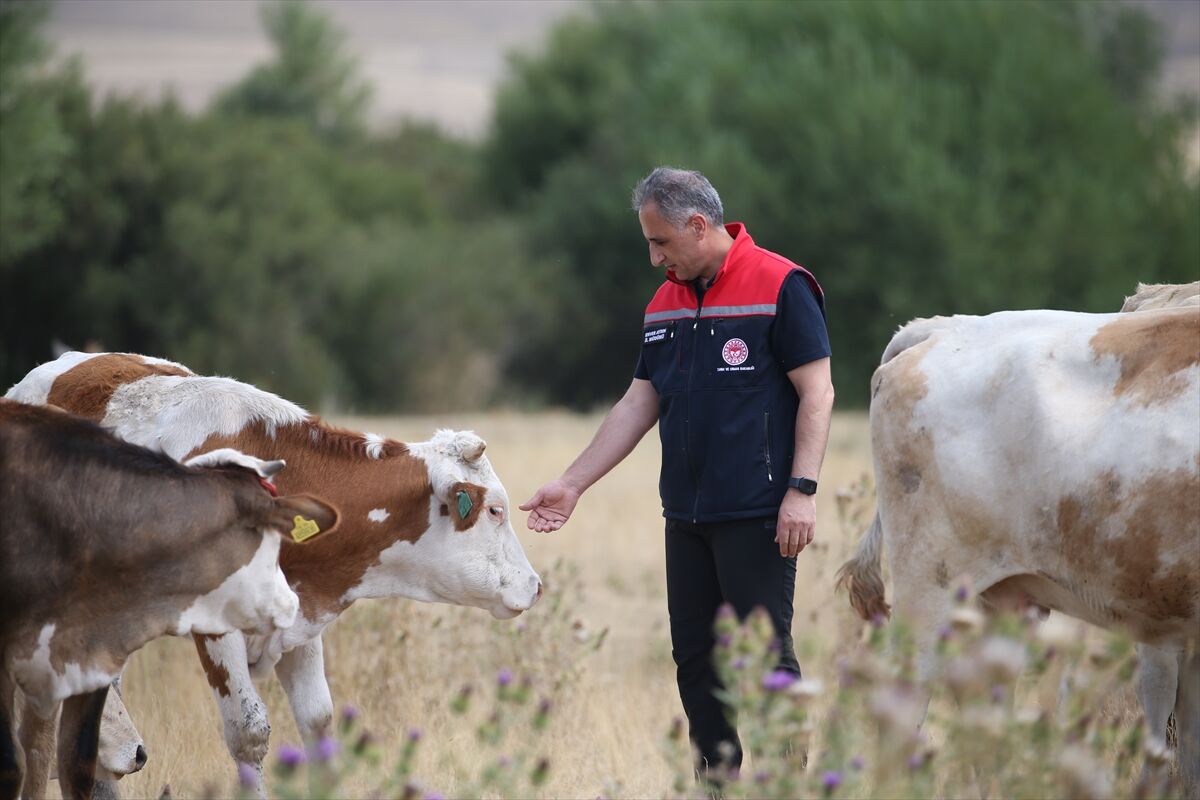 A A 20250821 38885183 38885182 K A R S T A R I M V E O R M A N M U D U R U A Y D I N S A P H A S T A L I G I N A I L I S K I N K O N U S T U