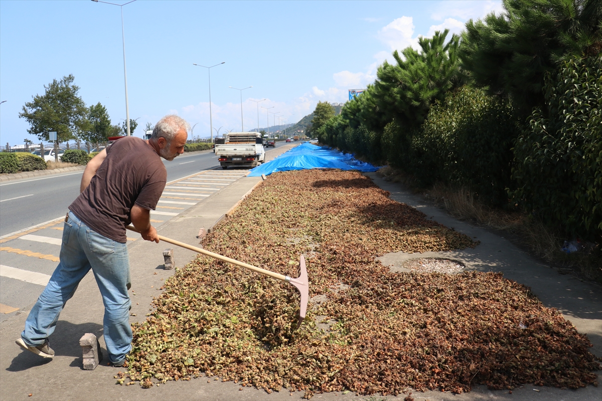 A A 20250824 38909302 38909279 K A R A D E N I Z S A H I L Y O L U N D A K I K A L D I R I M L A R D A F I N D I K K U R U T M A M E S A I S I B A S L A D I