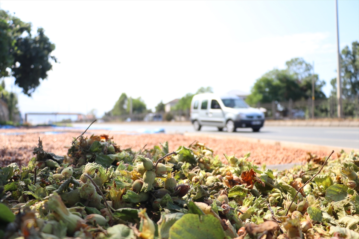 A A 20250824 38909302 38909285 K A R A D E N I Z S A H I L Y O L U N D A K I K A L D I R I M L A R D A F I N D I K K U R U T M A M E S A I S I B A S L A D I