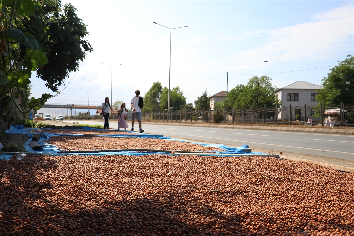 A A 20250824 38909302 38909290 K A R A D E N I Z S A H I L Y O L U N D A K I K A L D I R I M L A R D A F I N D I K K U R U T M A M E S A I S I B A S L A D I