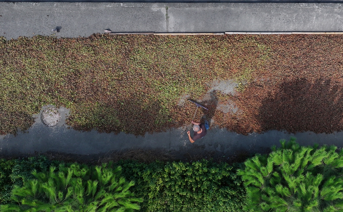 A A 20250824 38909302 38909296 K A R A D E N I Z S A H I L Y O L U N D A K I K A L D I R I M L A R D A F I N D I K K U R U T M A M E S A I S I B A S L A D I