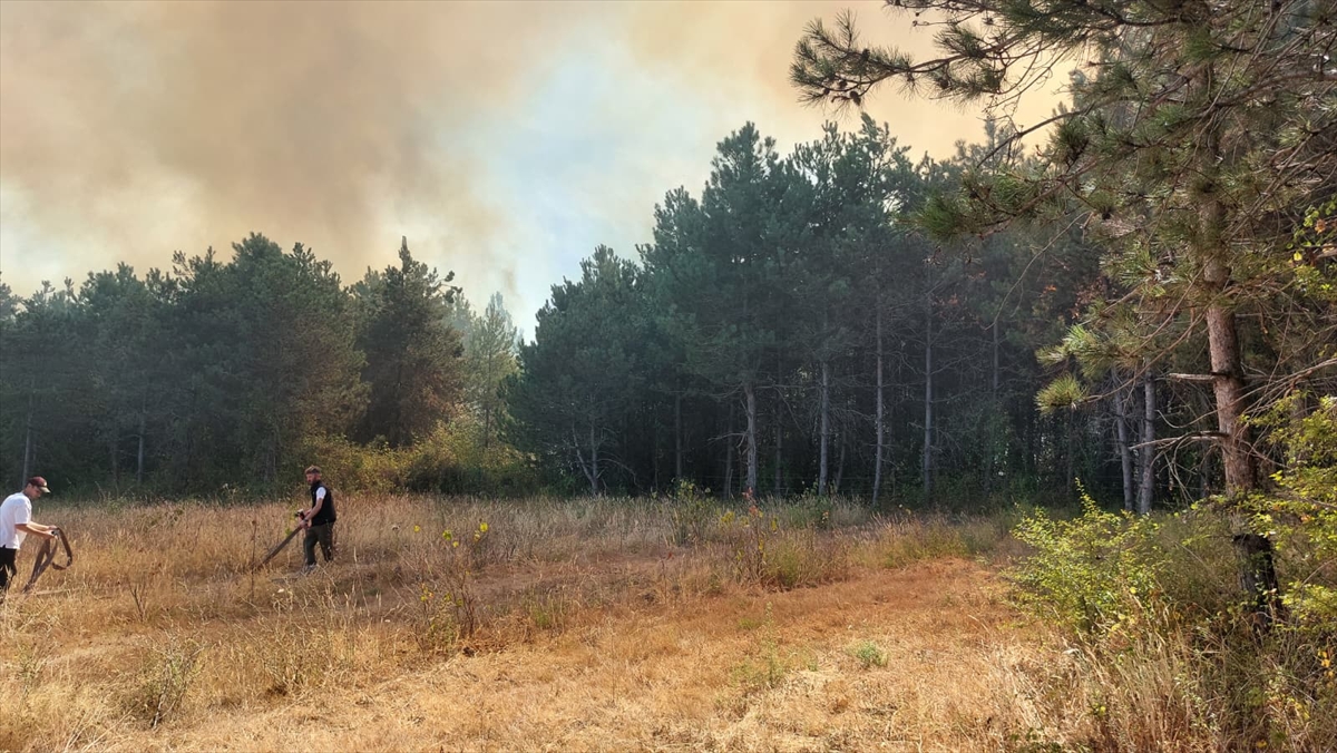 A A 20250827 38938733 38938732 S A K A R Y A D A O R M A N L I K A L A N D A C I K A N Y A N G I N K O N T R O L A L T I N A A L I N D I