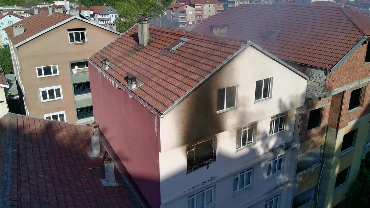 A A 20250828 38951564 38951561 S I N O P T A B I R D A I R E D E C I K A N Y A N G I N S O N D U R U L D U