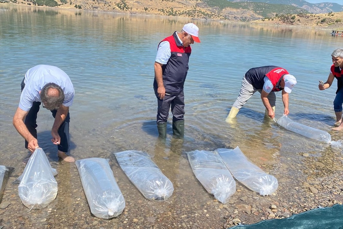 A A 20250828 38952752 38952750 E L A Z I G D A U R E T I L E N 17 M I L Y O N Y A V R U S A Z A N I C S U L A R L A B U L U S T U R U L A C A K