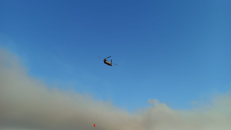 Aa Picture 20250804 38745142