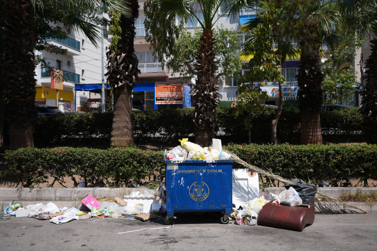 Aa Picture 20250813 38819162