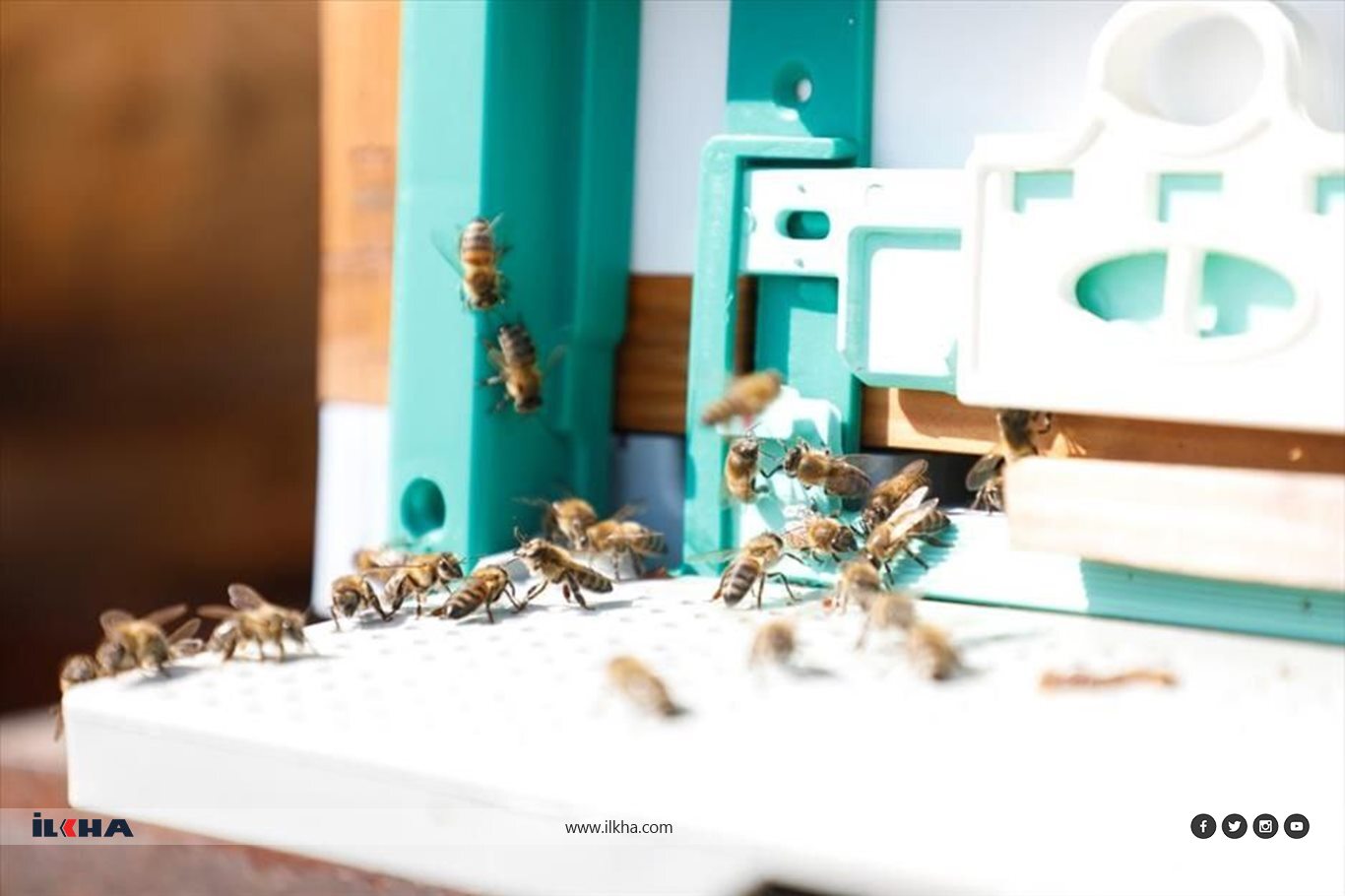 0647218F 7996 4E0B 8E3C A4Aee7A7F25F