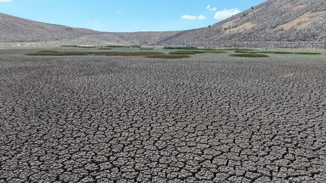 3820411 Ddc5506C09658870765862A9632Bf546 640X640