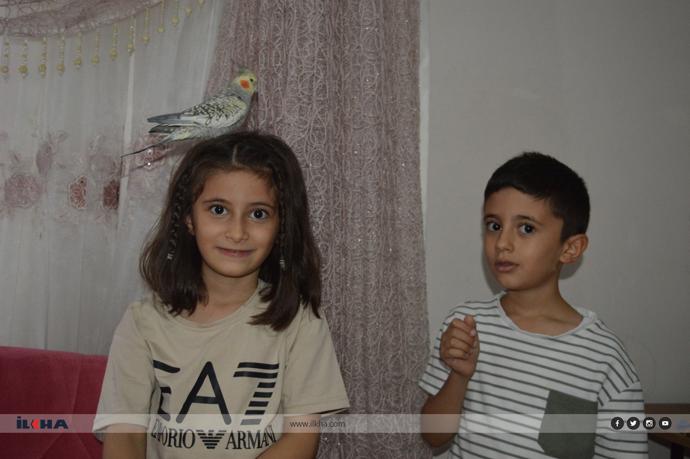 472F6689 F592 46B8 Aaf8 9274D49Efd86