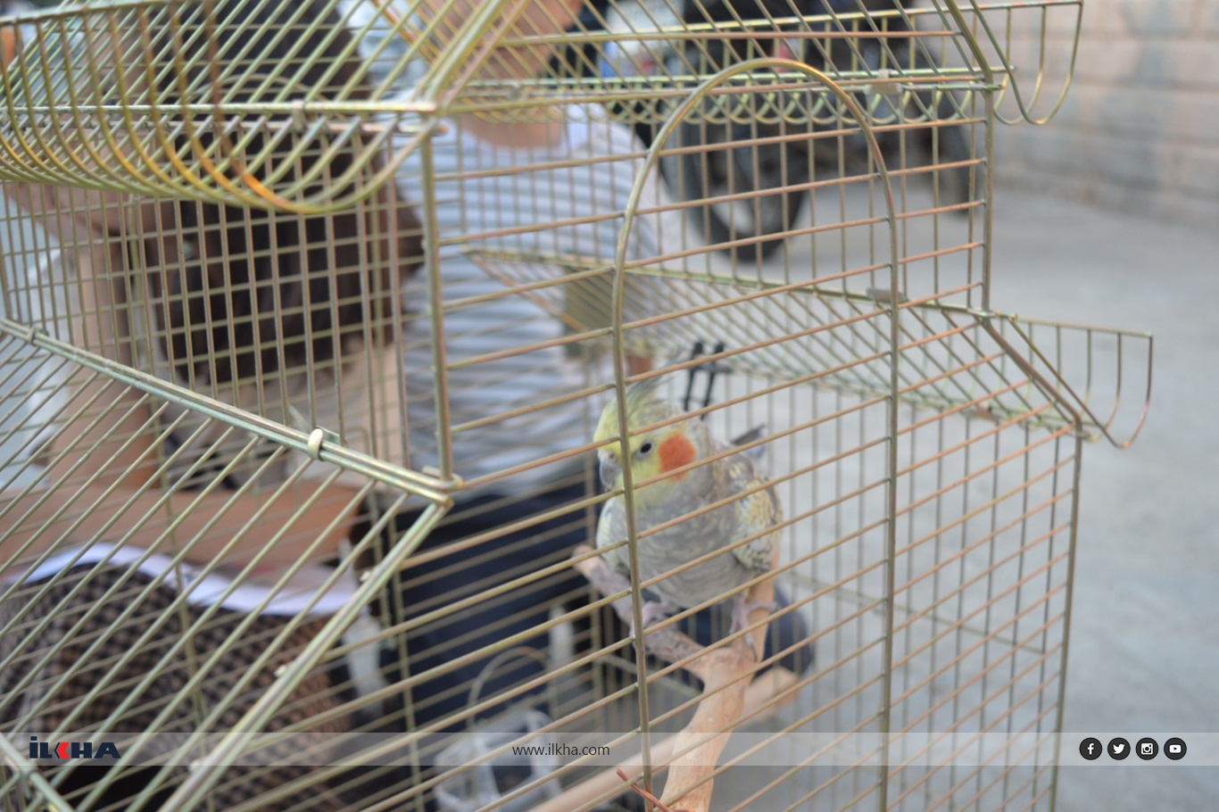 4F29Bdc6 F978 4Cd0 9C65 E151166Def0F