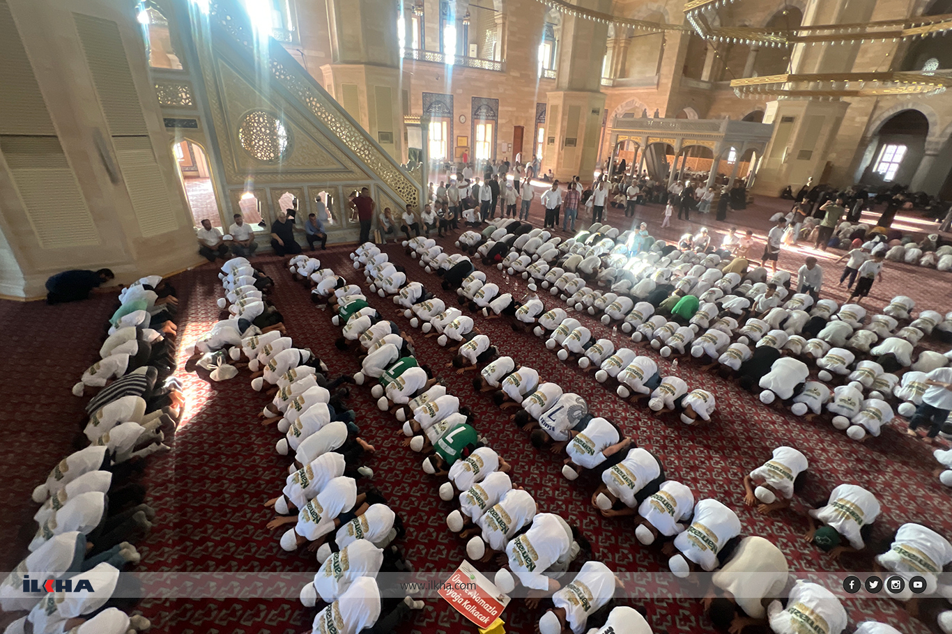 71359746 Eb75 4Cca B7D7 B2E47E6Dc63C