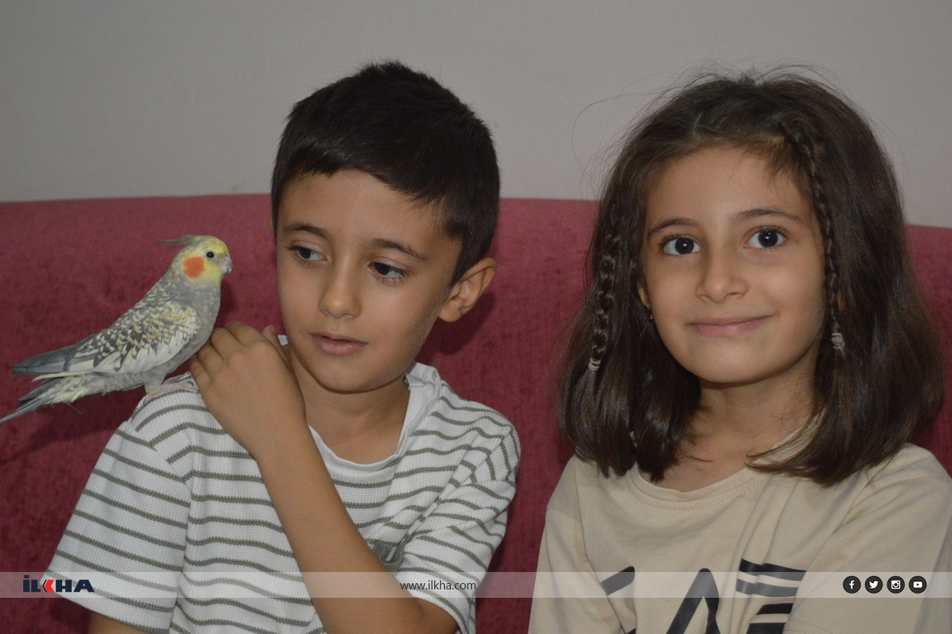 8A380Ba0 2E5B 4Adb 9Aba C9F2B6B09442