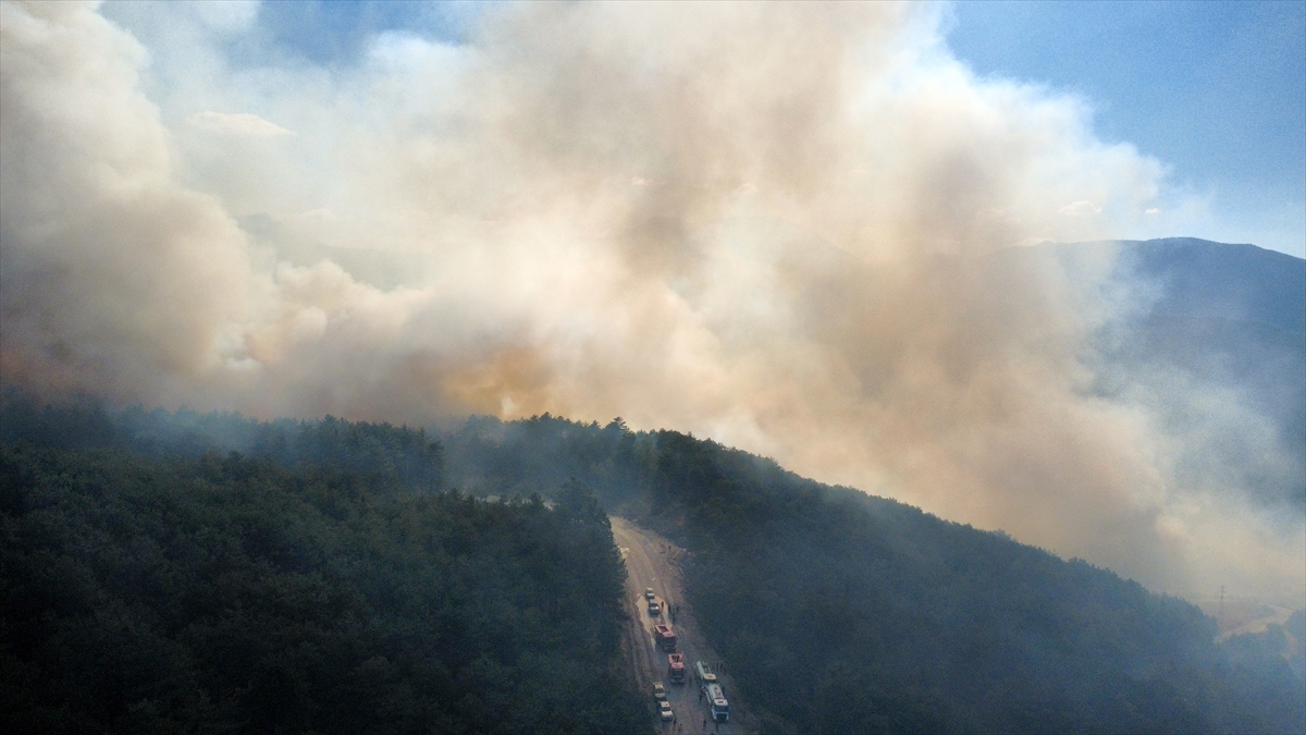 A A 20250902 38999932 38999930 K A R A B U K T E C I K A N O R M A N Y A N G I N I N A M U D A H A L E E D I L I Y O R