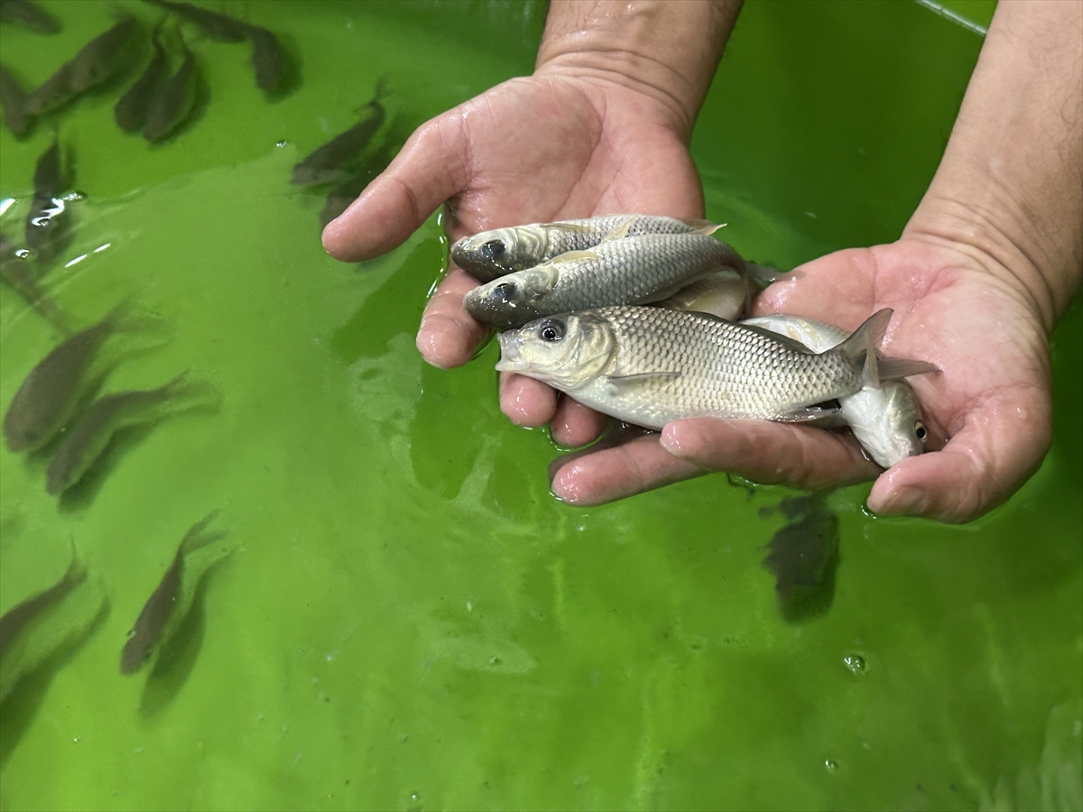 A A 20250905 39029699 39029691 I S P A R T A D A E G I R D I R G O L U N E 300 B I N S A Z A N Y A V R U S U B I R A K I L A C A K