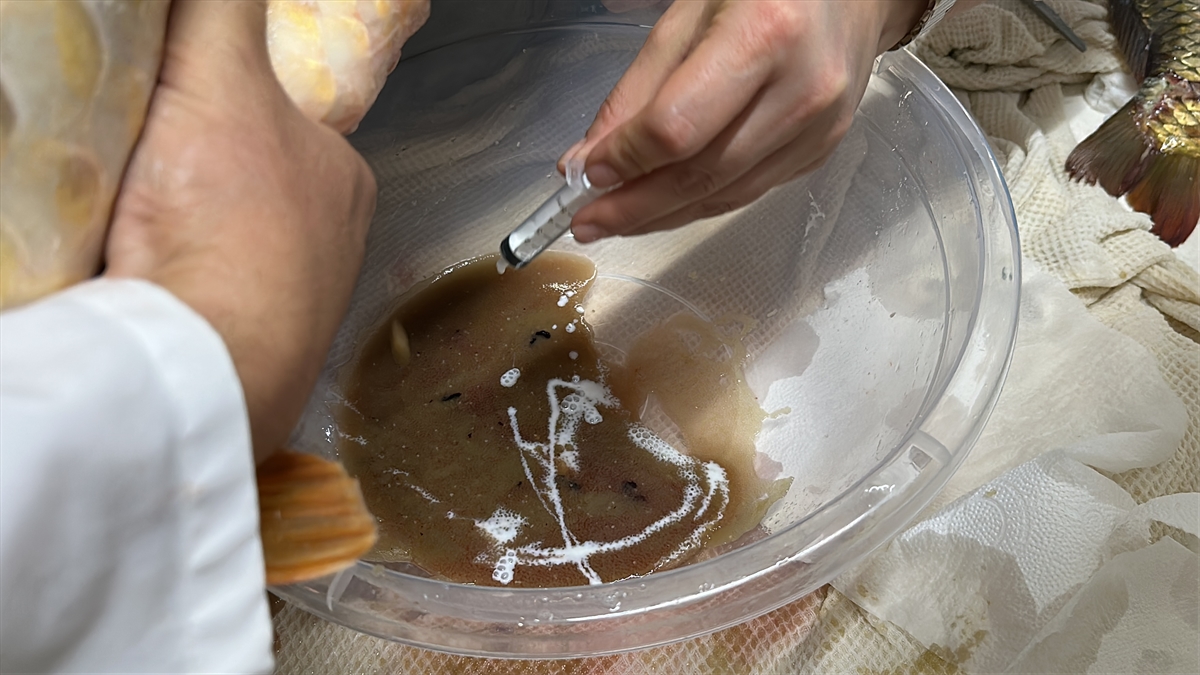 A A 20250905 39029699 39029692 I S P A R T A D A E G I R D I R G O L U N E 300 B I N S A Z A N Y A V R U S U B I R A K I L A C A K