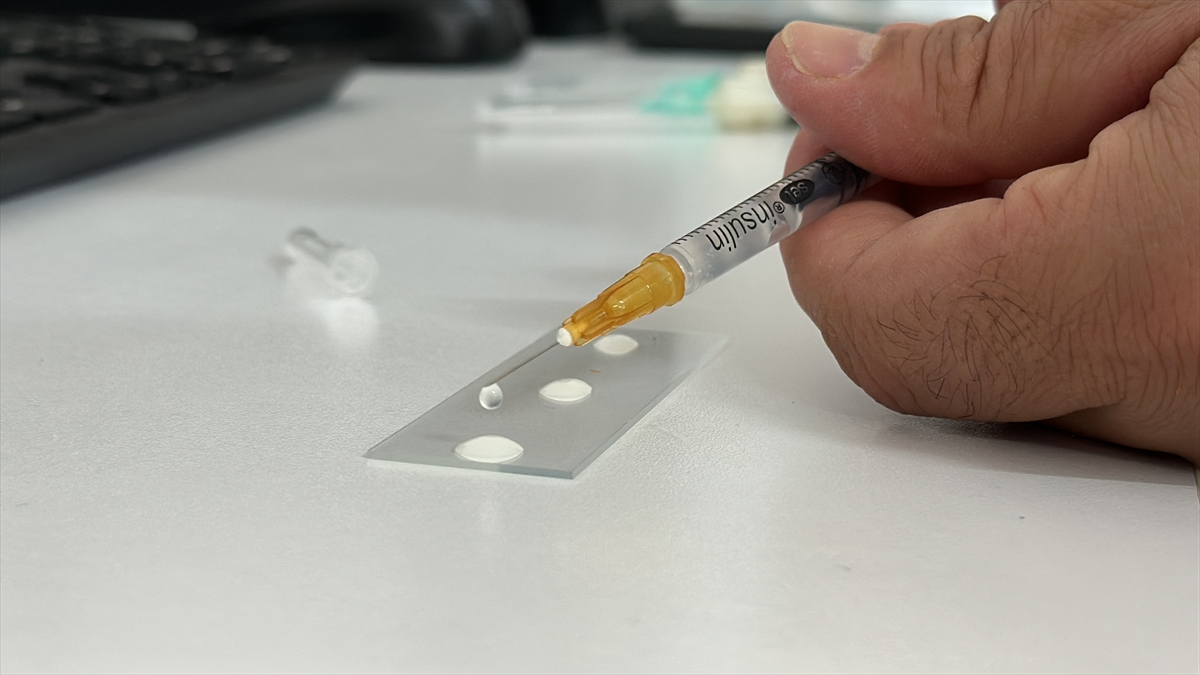 A A 20250905 39029699 39029694 I S P A R T A D A E G I R D I R G O L U N E 300 B I N S A Z A N Y A V R U S U B I R A K I L A C A K