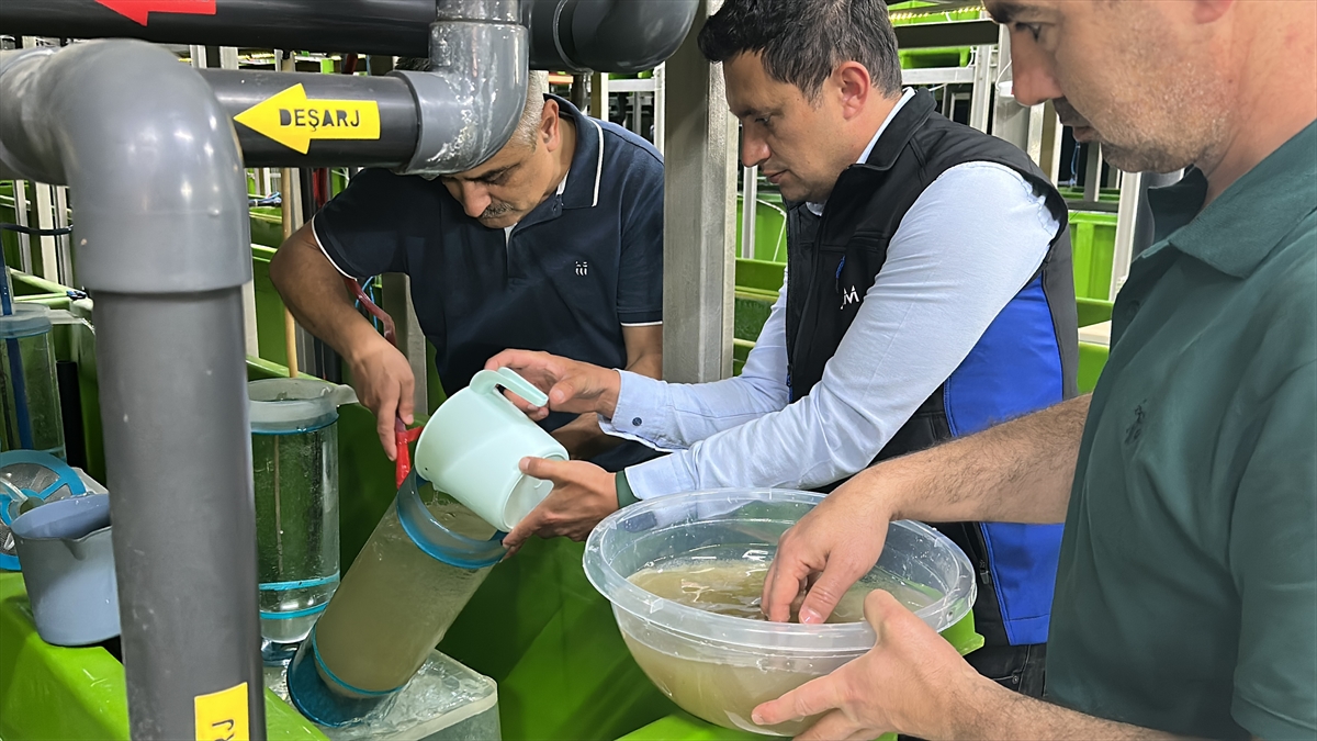 A A 20250905 39029699 39029695 I S P A R T A D A E G I R D I R G O L U N E 300 B I N S A Z A N Y A V R U S U B I R A K I L A C A K