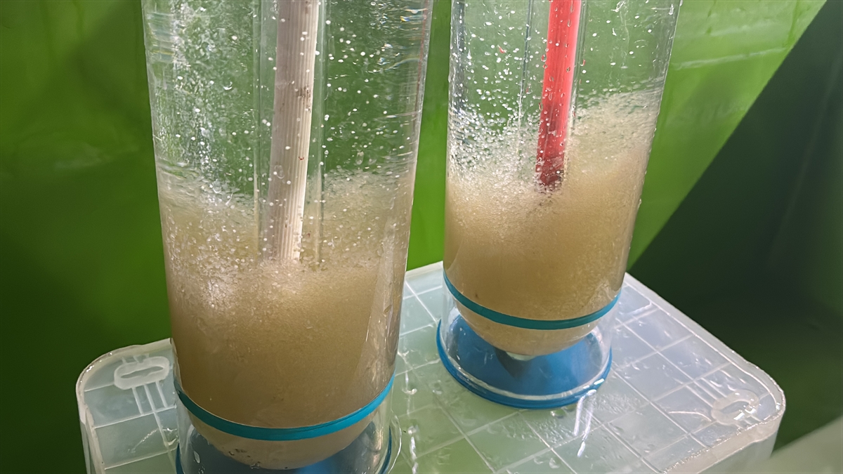 A A 20250905 39029699 39029696 I S P A R T A D A E G I R D I R G O L U N E 300 B I N S A Z A N Y A V R U S U B I R A K I L A C A K