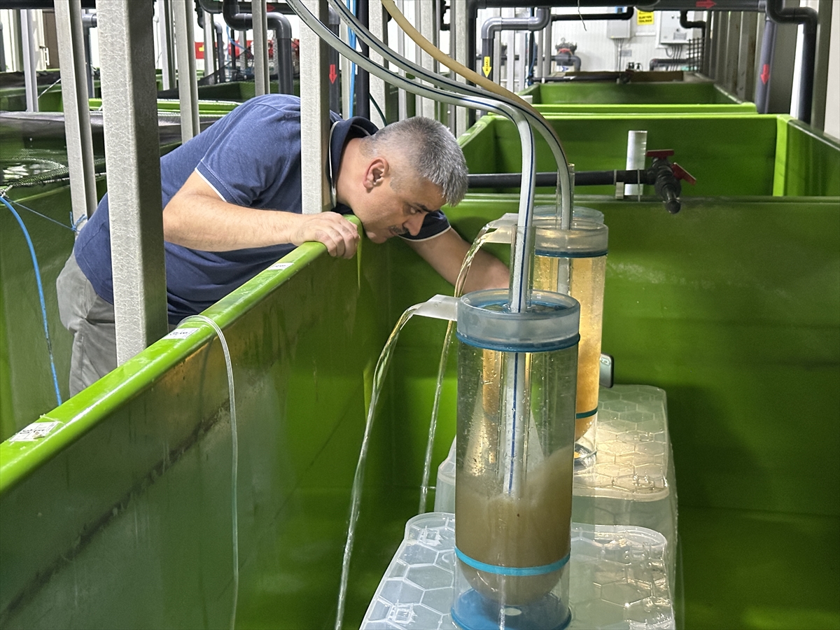 A A 20250905 39029699 39029698 I S P A R T A D A E G I R D I R G O L U N E 300 B I N S A Z A N Y A V R U S U B I R A K I L A C A K