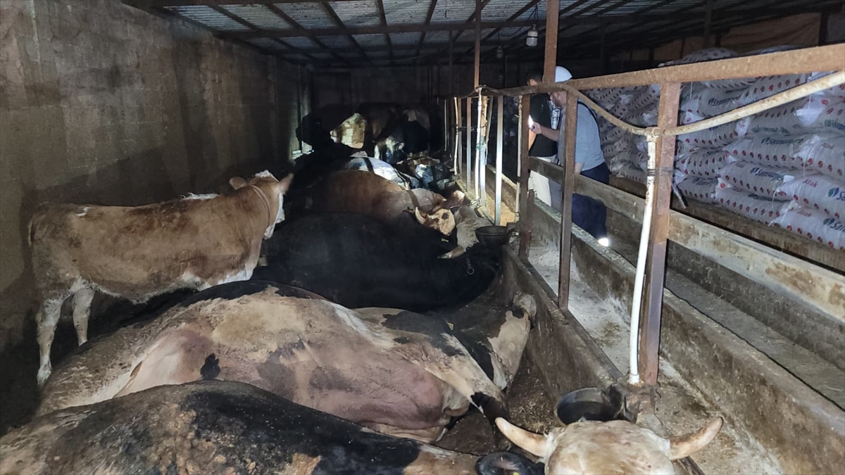 A A 20250906 39040428 39040425 S A M S U N D A E L E K T R I K A K I M I N A K A P I L A N 6 B U Y U K B A S H A Y V A N T E L E F O L D U