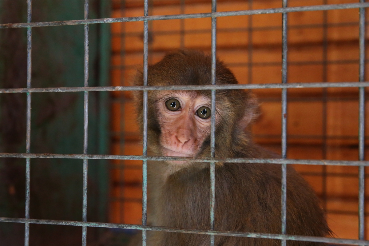 A A 20250907 39044890 39044881 H A T A Y D A M A Y M U N A K O T U M U A M E L E D E B U L U N A N K I S I H A K K I N D A I S L E M B A S L A T I L D I