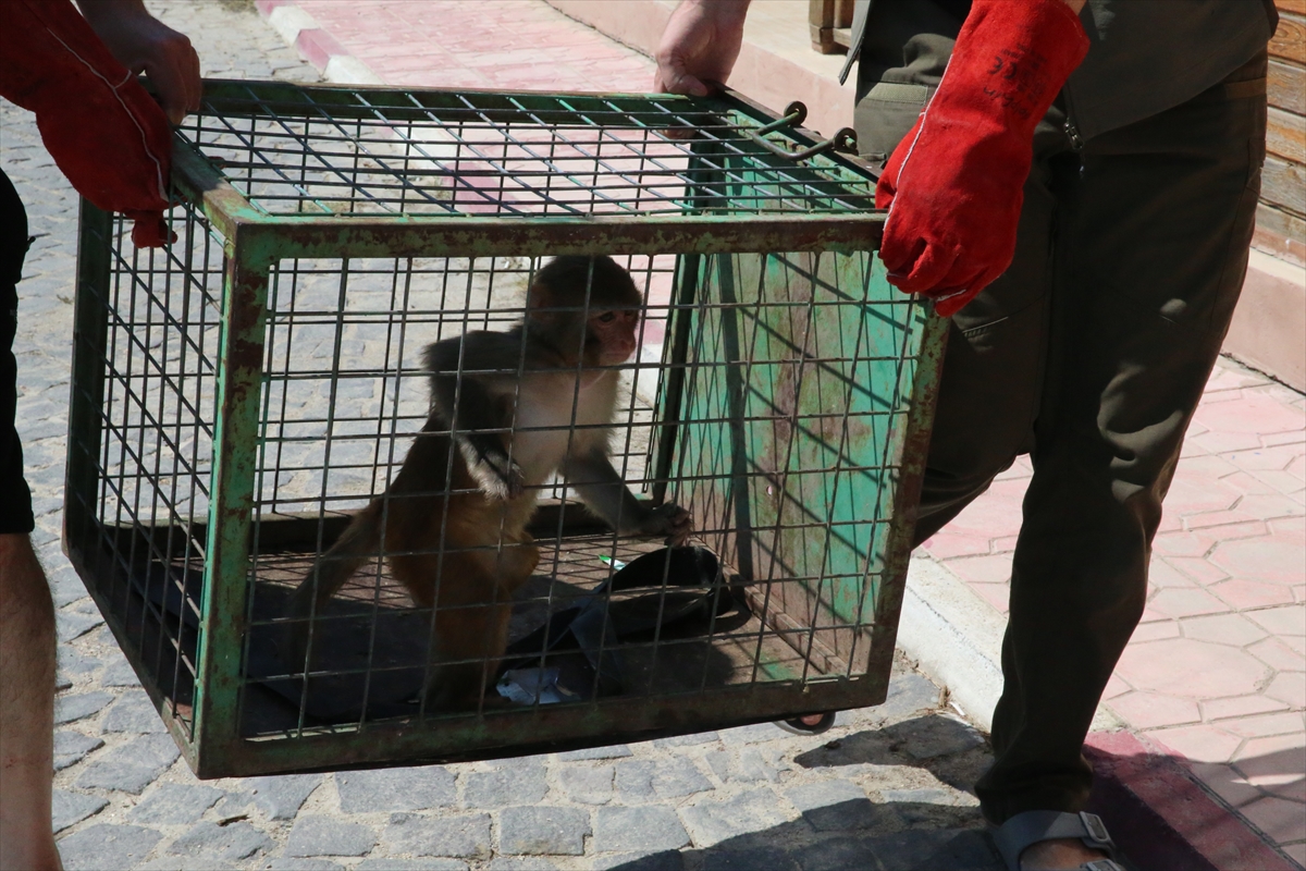 A A 20250907 39044890 39044882 H A T A Y D A M A Y M U N A K O T U M U A M E L E D E B U L U N A N K I S I H A K K I N D A I S L E M B A S L A T I L D I