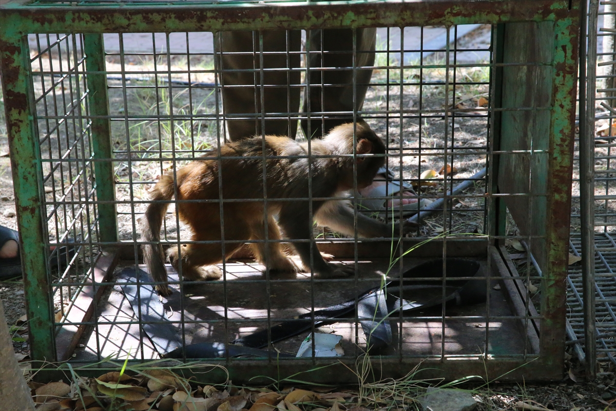 A A 20250907 39044890 39044883 H A T A Y D A M A Y M U N A K O T U M U A M E L E D E B U L U N A N K I S I H A K K I N D A I S L E M B A S L A T I L D I