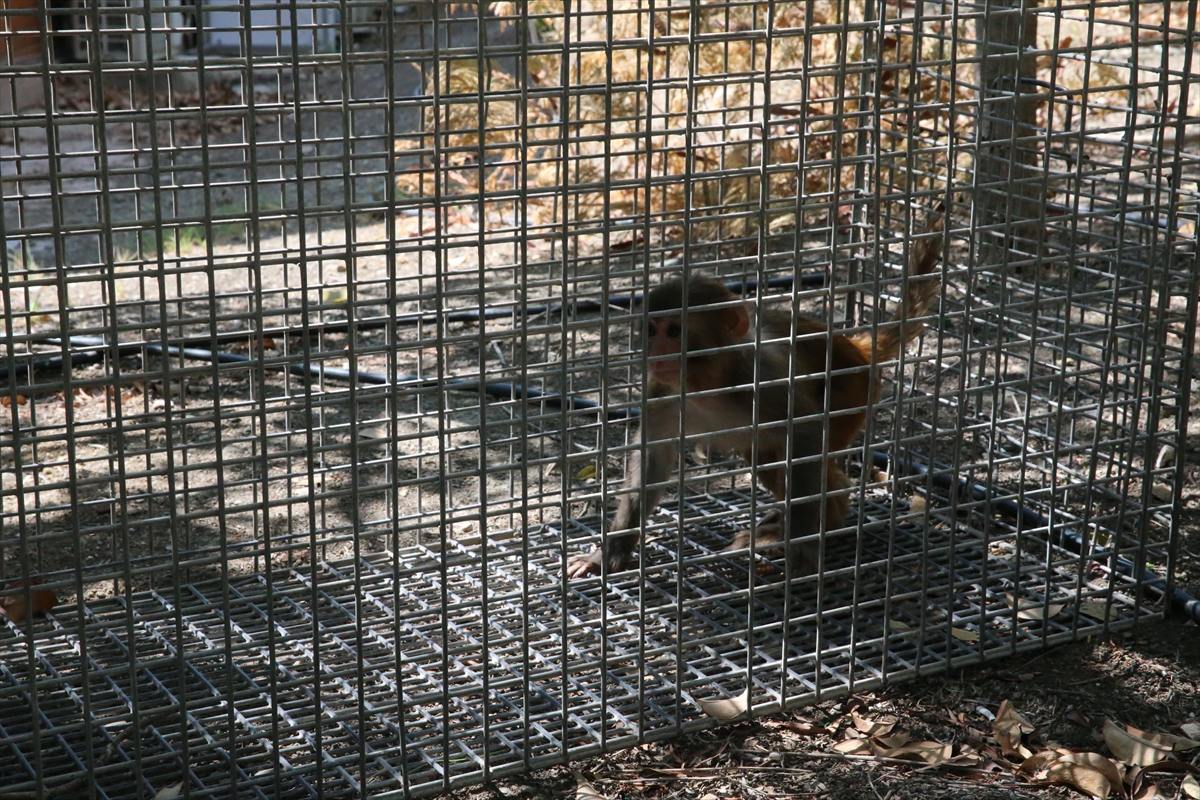 A A 20250907 39044890 39044884 H A T A Y D A M A Y M U N A K O T U M U A M E L E D E B U L U N A N K I S I H A K K I N D A I S L E M B A S L A T I L D I