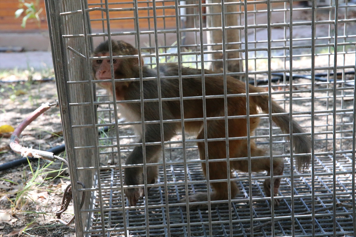 A A 20250907 39044890 39044885 H A T A Y D A M A Y M U N A K O T U M U A M E L E D E B U L U N A N K I S I H A K K I N D A I S L E M B A S L A T I L D I