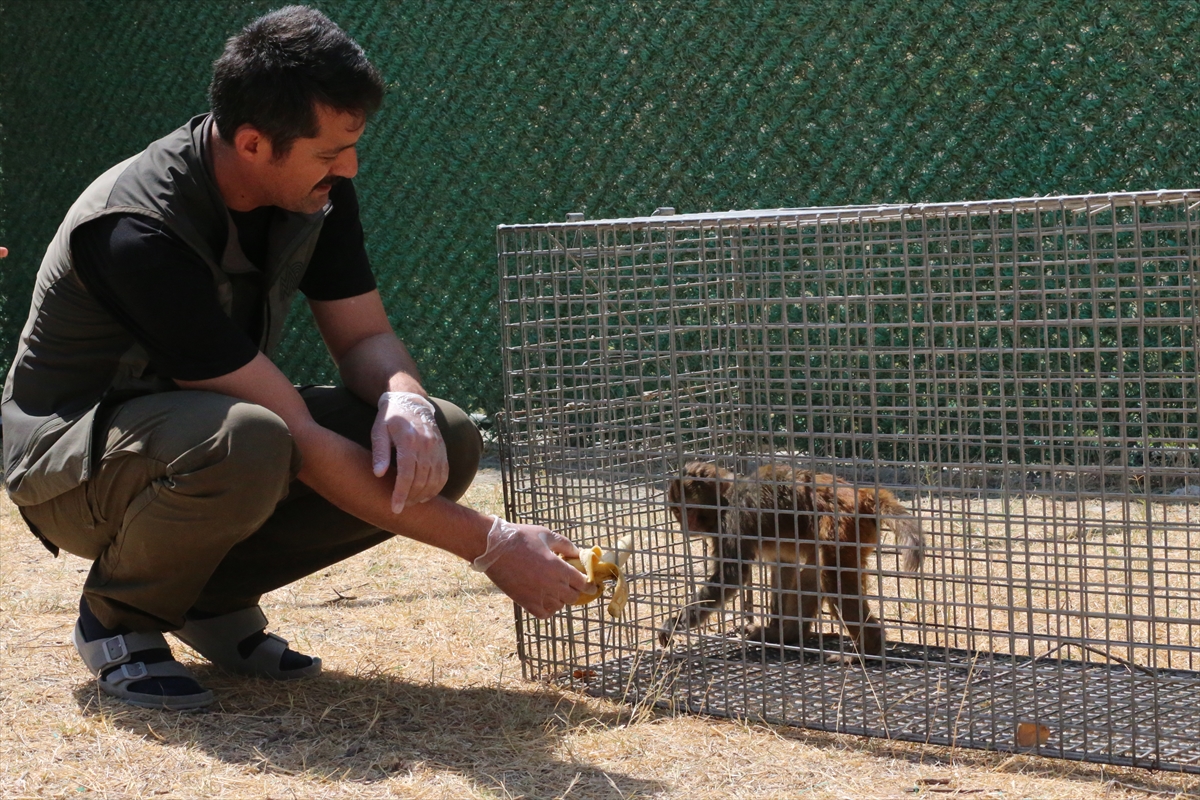 A A 20250907 39044890 39044886 H A T A Y D A M A Y M U N A K O T U M U A M E L E D E B U L U N A N K I S I H A K K I N D A I S L E M B A S L A T I L D I