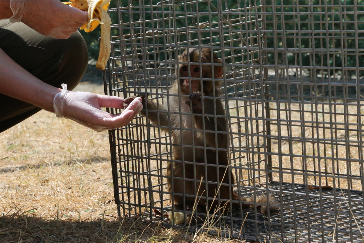 A A 20250907 39044890 39044887 H A T A Y D A M A Y M U N A K O T U M U A M E L E D E B U L U N A N K I S I H A K K I N D A I S L E M B A S L A T I L D I