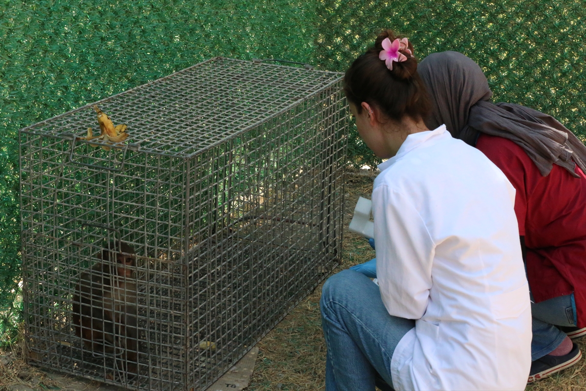 A A 20250907 39044890 39044888 H A T A Y D A M A Y M U N A K O T U M U A M E L E D E B U L U N A N K I S I H A K K I N D A I S L E M B A S L A T I L D I