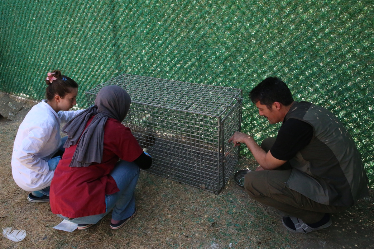 A A 20250907 39044890 39044889 H A T A Y D A M A Y M U N A K O T U M U A M E L E D E B U L U N A N K I S I H A K K I N D A I S L E M B A S L A T I L D I