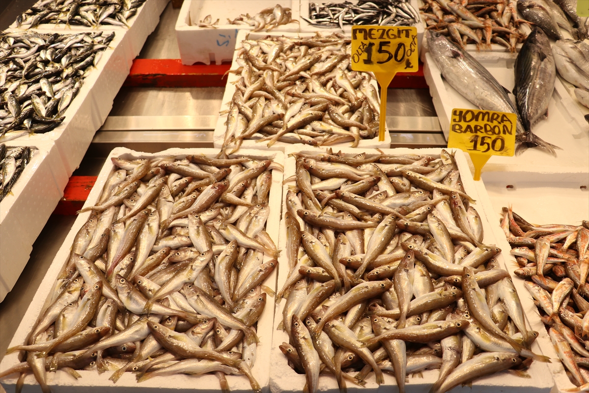 A A 20250907 39045187 39045183 T R A B Z O N D A B A L I K C I T E Z G A H L A R I N I M E Z G I T V E I S T A V R I T S U S L U Y O R