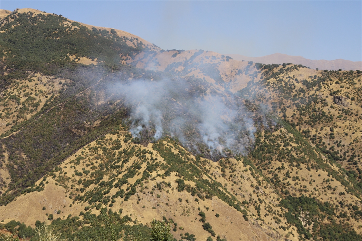 A A 20250908 39056675 39056668 H A K K A R I D E O R M A N L I K A L A N D A C I K A N Y A N G I N A M U D A H A L E S U R U Y O R