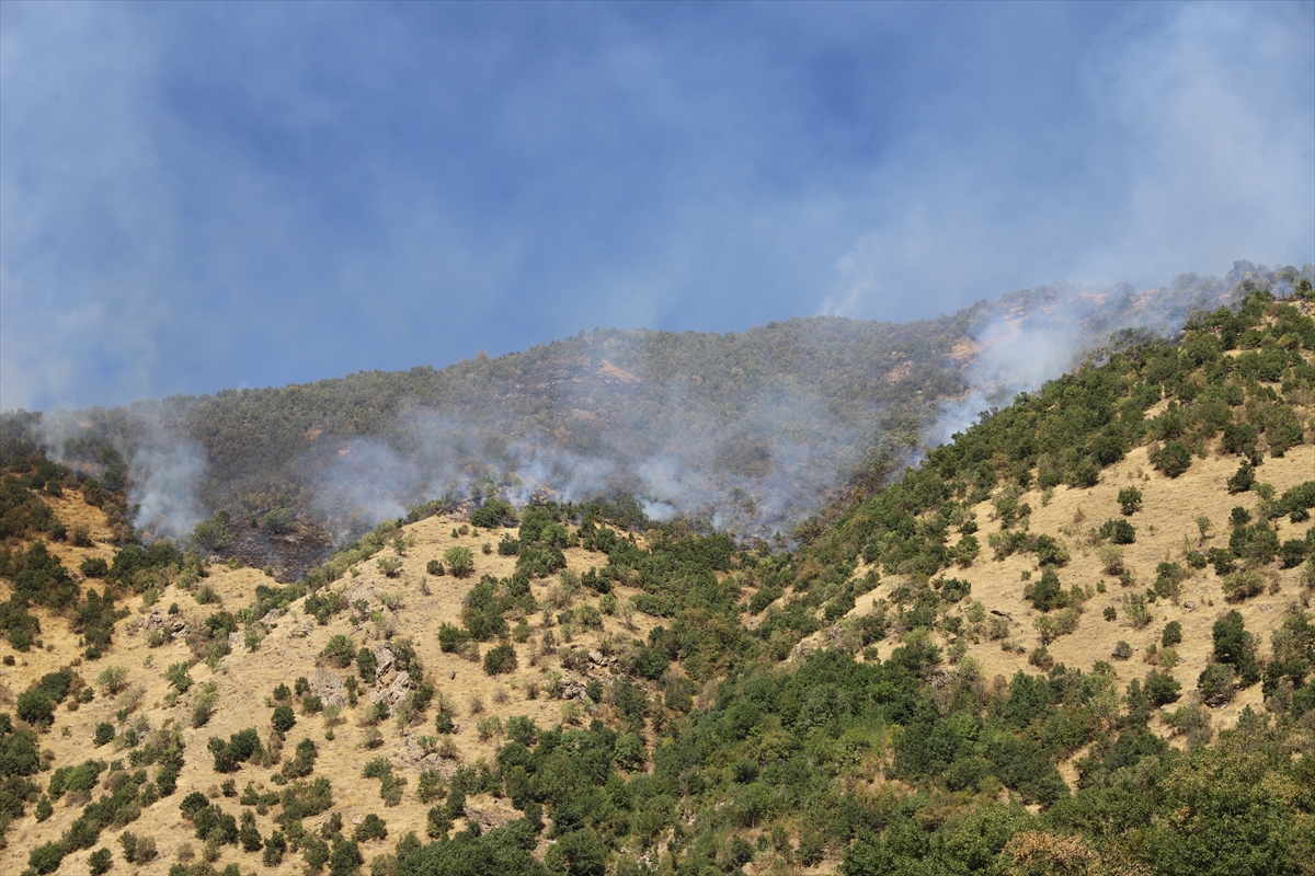 A A 20250908 39056675 39056671 H A K K A R I D E O R M A N L I K A L A N D A C I K A N Y A N G I N A M U D A H A L E S U R U Y O R