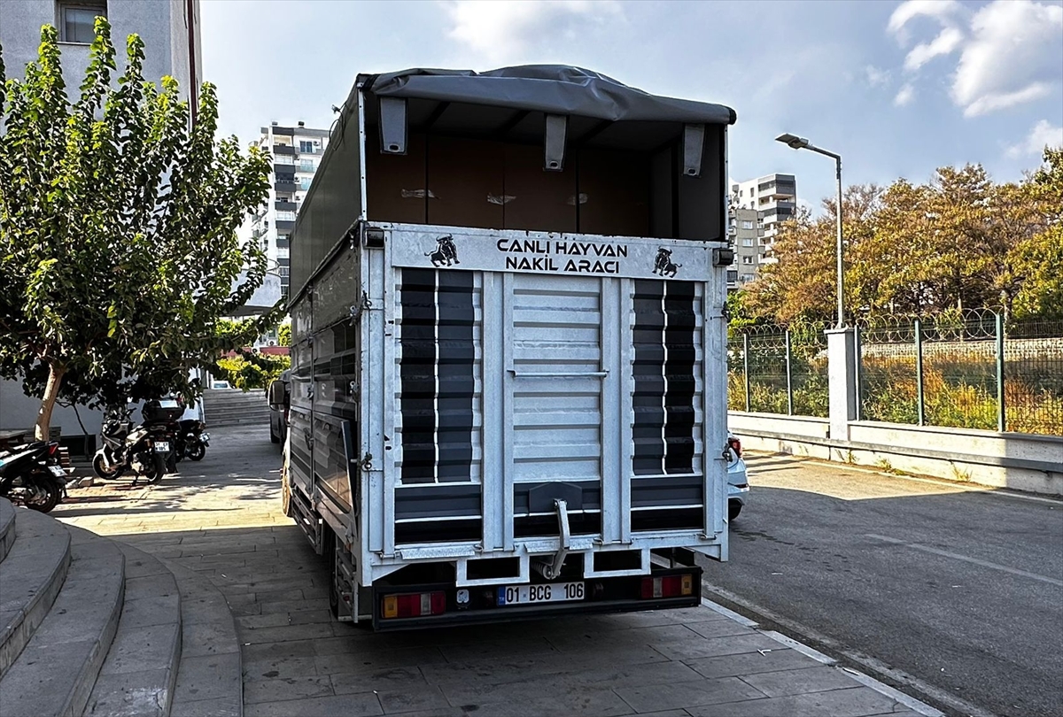 A A 20250911 39080923 39080921 A D A N A D A 7 M I L Y O N 425 B I N M A K A R O N E L E G E C I R I L E N O P E R A S Y O N D A 2 Z A N L I T U T U K L A N D I