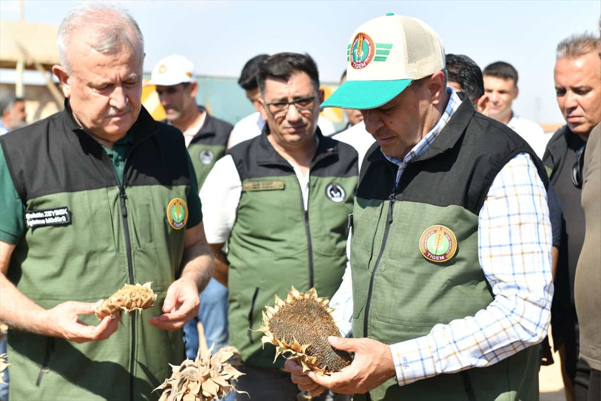 A A 20250911 39082013 39082011 T U R K I Y E N I N E N B U Y U K T A R I M I S L E T M E S I N D E A Y C I C E G I H A S A D I Y A P I L I Y O R